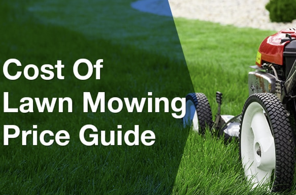 Lawn Mowing Service Costs Your Complete Guide To Pricing Lawn Rite