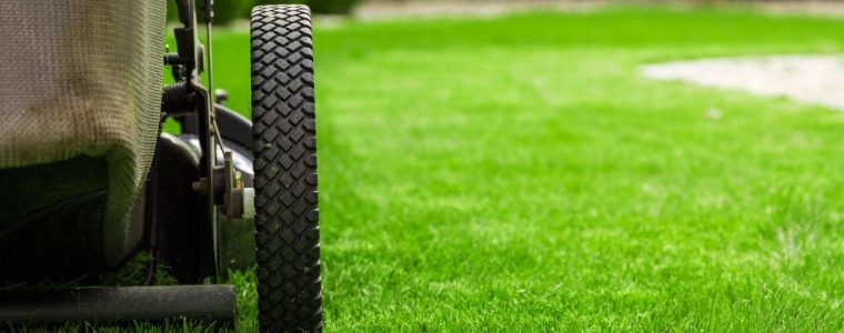 Common Lawn Care Mistakes To Avoid